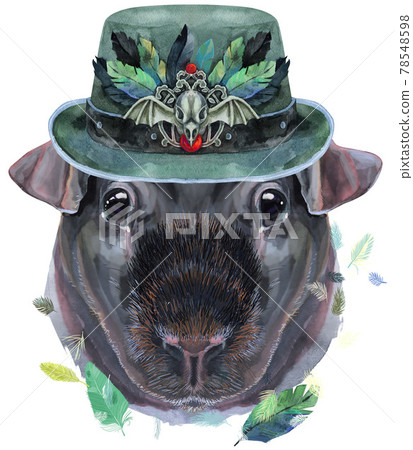 Watercolor portrait of Skinny Guinea Pig in green hat on white background Watercolor portrait of Skinny Guinea Pig in green hat on white background 78548598
