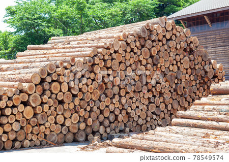 Forestry cooperatives, forestry and logging Forestry cooperatives, forestry and logging 78549574