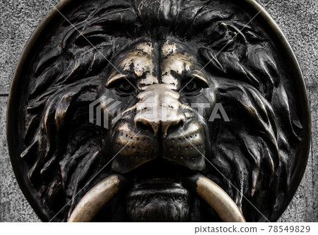 Metal lion head bas-relief closeup. Metal lion head bas-relief closeup. 78549829