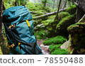 Large hiking blue backpack in forest. 78550488