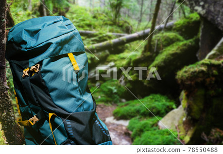 Large hiking blue backpack in forest. 78550488