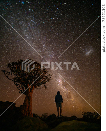 Quivertree forest under the milkyway near Ketmanshoop Quivertree forest under the milkyway near Ketmanshoop 78551508