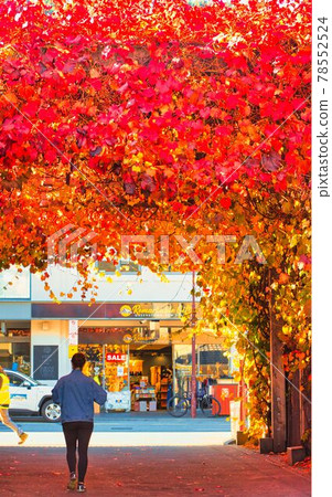 紐西蘭皇后鎮秋葉拱廊 78552524