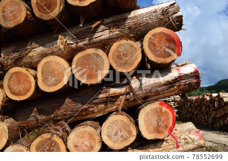 Cedar log cut out Cedar log cut out 78552699