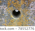 moss art 78552776