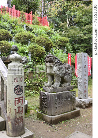 高尾山藥王院權現堂Agyo守護犬 78553330