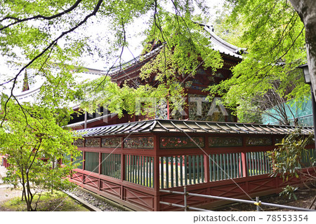 高尾山藥王院伊綱權現堂總店 高尾山藥王院伊綱權現堂總店 78553354