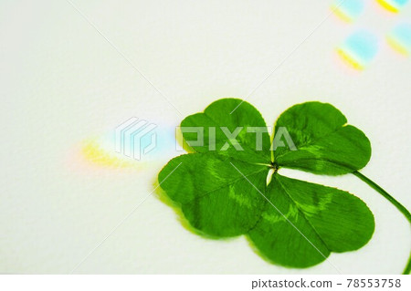 A pressed four-leaf clover on a background of scattered rainbow lights A pressed four-leaf clover on a background of scattered rainbow lights 78553758