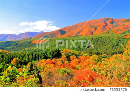 秋山 秋山 78553776