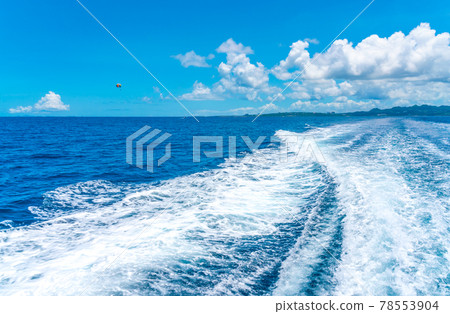 Wake 78553904