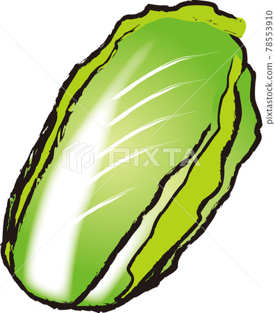 中國的白菜 78553910
