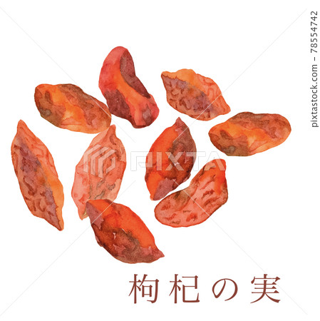 Goji berries, Chinese medicine, Oriental medicine, Fertility treatment, Watercolor illustration Goji berries, Chinese medicine, Oriental medicine, Fertility treatment, Watercolor illustration 78554742