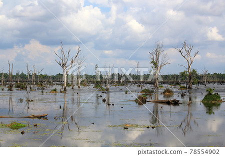 neak pean in Cambodia, lake reflection of cloudscape neak pean in Cambodia, lake reflection of cloudscape 78554902