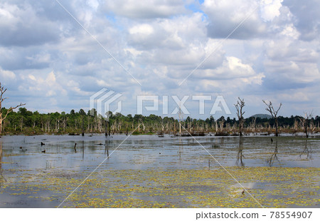 neak pean in Cambodia, lake reflection of cloudscape 78554907