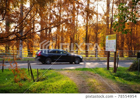Autumn Metase no Mori Autumn Metase no Mori 78554954
