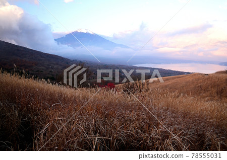 Mt Fuji in autumn morning 78555031
