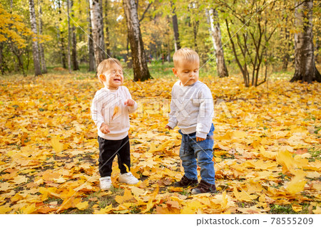 two little toddlers laugh under the falling autumn leaves. adorable kids in autumn park 78555209