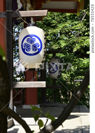 Shiba Toshogu Shrine (haiden / 本宮) 神道紋章 Shiba Toshogu Shrine (haiden / 本宮) 神道紋章 78555429