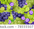 Grape background grape 78555507