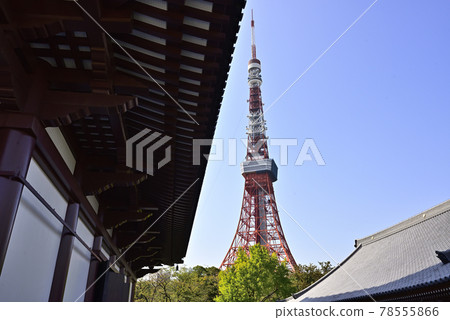 Zojoji Temple and Tokyo Tower Zojoji Temple and Tokyo Tower 78555866