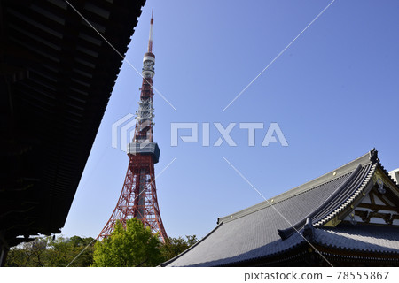 Zojoji Temple and Tokyo Tower Zojoji Temple and Tokyo Tower 78555867