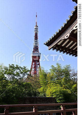 Zojoji Temple and Tokyo Tower Zojoji Temple and Tokyo Tower 78555868