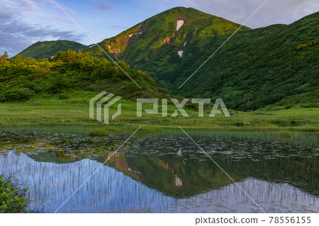早上的火打山 早上的火打山 78556155