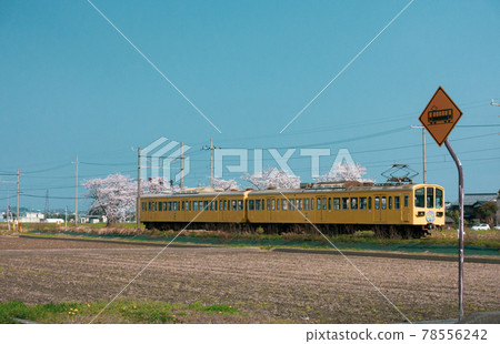 Spring scenery of Omi Railway in Shiga Prefecture 78556242