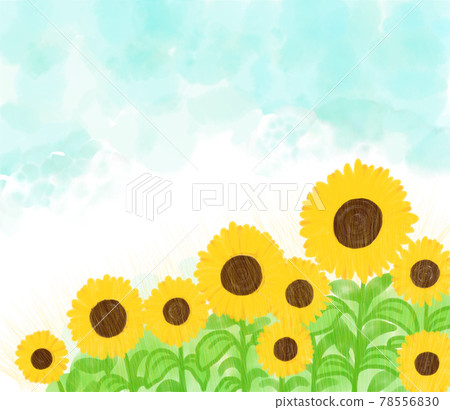 Illustration of blue sky and sunflower field 78556830