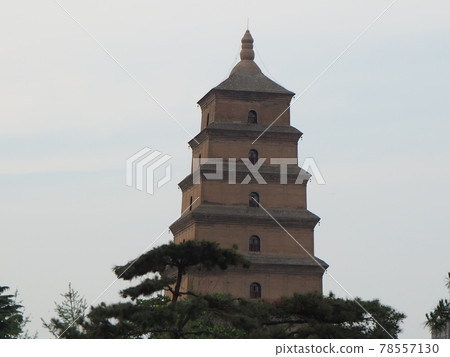 黃昏的大雁塔 78557130