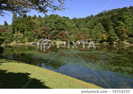 Shogakuin Imperial Palace Imperial Palace Tornado Pond Shogakuin Imperial Palace Imperial Palace Tornado Pond 78558293