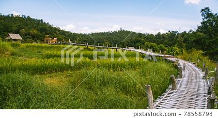 Bamboo Bridge in Pai, Mae Hong Son, Chiang Mai, thailand 78558793