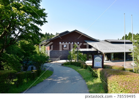 Hakone Town Hakone Yasuragi no Mori Forest Fureaikan, Walking Path and Fresh Green 78559495