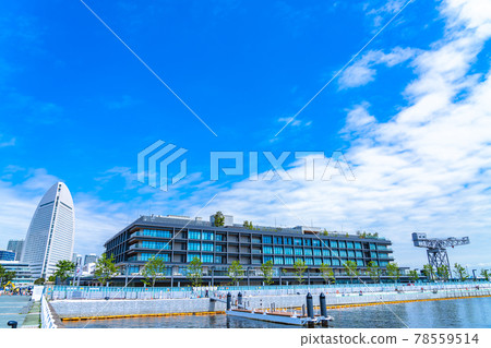 橫濱市景 橫濱鎚頭/新光碼頭附近的風景 78559514