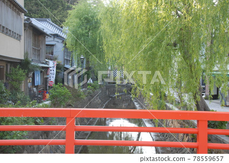 下田佩里路上的光滑河(靜岡縣下田市) 下田佩里路上的光滑河(靜岡縣下田市) 78559657