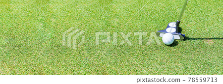 Golf green putting [image of outdoor sports] 78559713