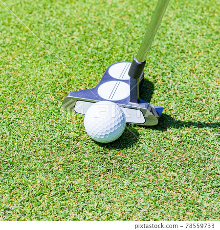 Golf green putting [image of outdoor sports] 78559733