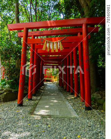 神明神社(石上先生) 神明神社(石上先生) 78560981