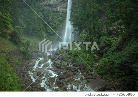 和歌山縣那智瀑布 鮮綠色 78560990