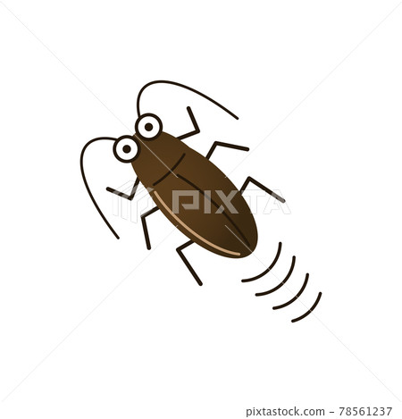 Cockroach illustration image 78561237