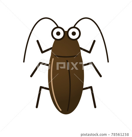 Cockroach illustration image 78561238