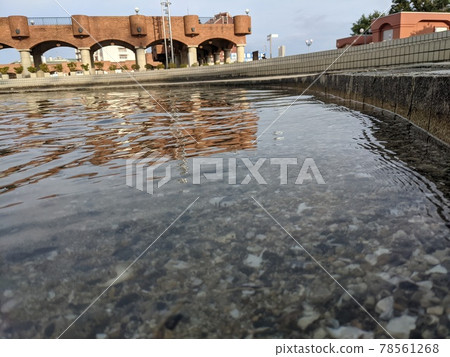 海岸和公園 78561268