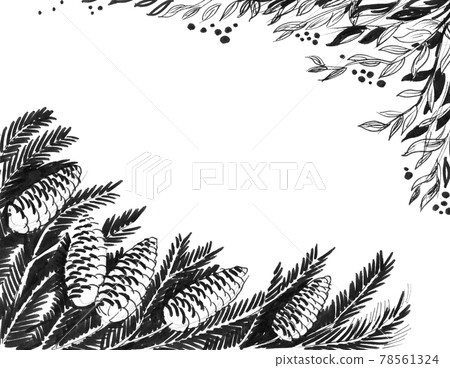 Pine tree branches. Ink black and white drawing Pine tree branches. Ink black and white drawing 78561324