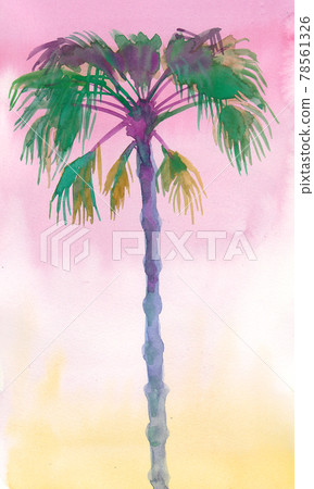Palm tree and sun set sky. Ink and watercolor drawing Palm tree and sun set sky. Ink and watercolor drawing 78561326