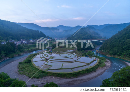 Early summer of the scenic spot "Aragijima", one of the 100 best rice terraces in Japan in Aridagawa Town, Wakayama Prefecture 78561481