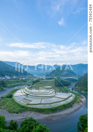 Early summer of the scenic spot "Aragijima", one of the 100 best rice terraces in Japan in Aridagawa Town, Wakayama Prefecture 78561484