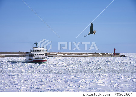 Sea of Okhotsk drift ice field and eagle synthesis Sea of Okhotsk drift ice field and eagle synthesis 78562604