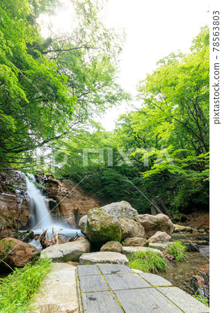 Meisui Waterfall in early summer, Yufu City, Oita Prefecture Meisui Waterfall in early summer, Yufu City, Oita Prefecture 78563803
