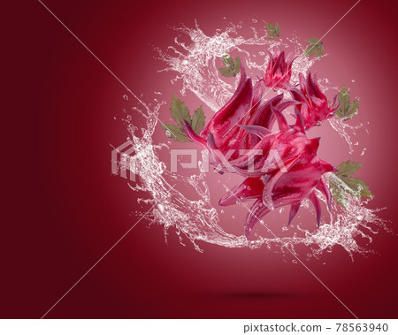 Water splash on fresh roselle with leaves isolated on red background  78563940