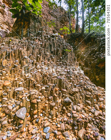 Pha Chor Canyon National Park in Chiang mai province, Thailand 78564301